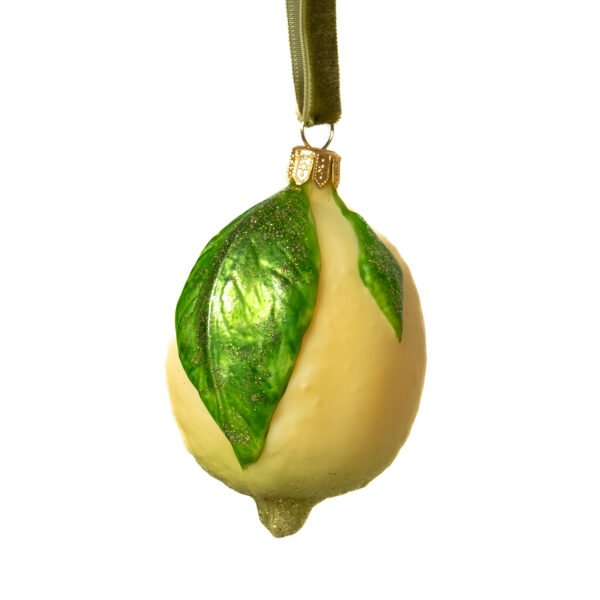 Citrina su lapeliais