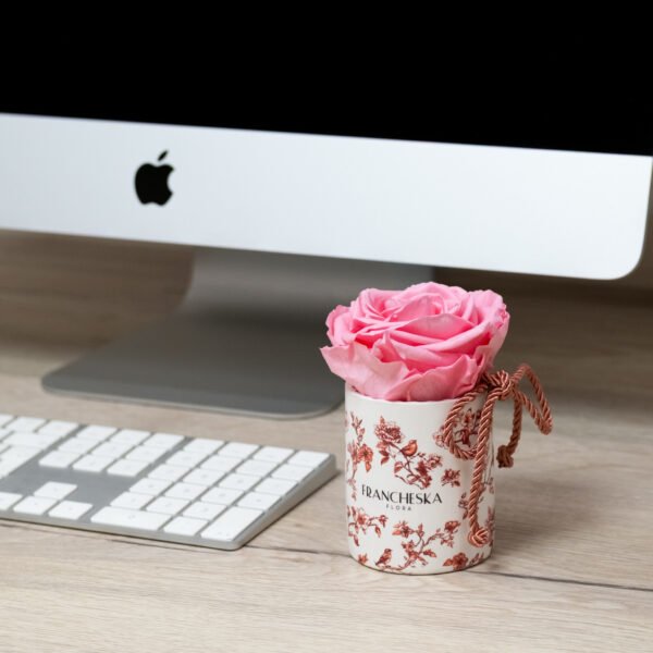 Kvapni stabilizuota rožė – difuzorius (raudona vazelė)