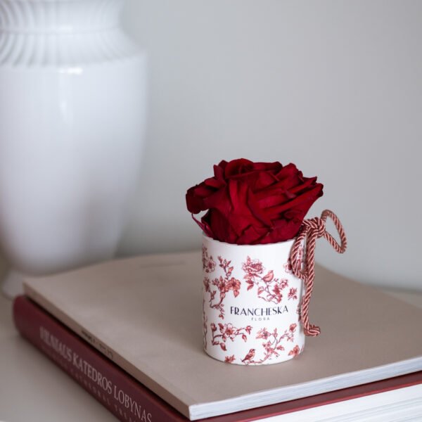 Kvapni stabilizuota rožė – difuzorius (raudona vazelė)