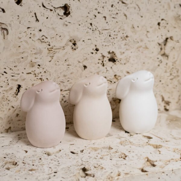 Saulės glostomas zuikutis