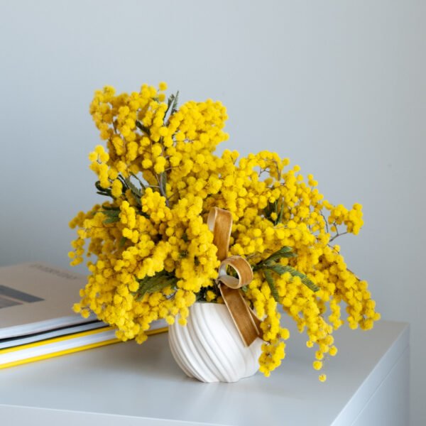 Stabilizuotos mimozos kompozicija (didesnė)