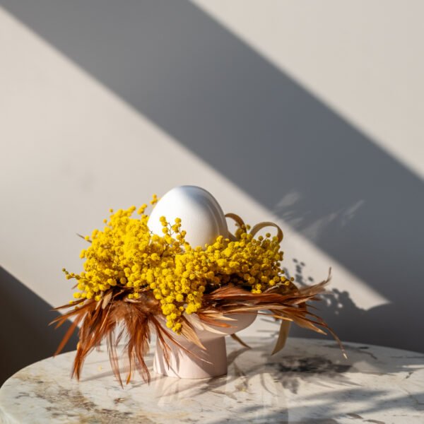 Stabilizuotos mimozos kompozicija (mažesnė)