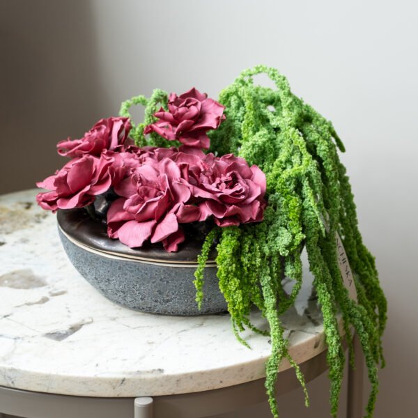 Stabilizuotos gardenijos ir amarantas