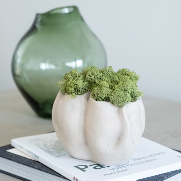 Interjero kompozicija  su stabilizuotomis samanomis